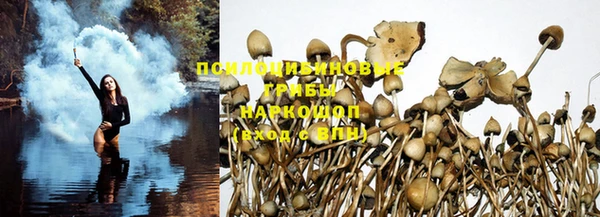 первитин Горнозаводск