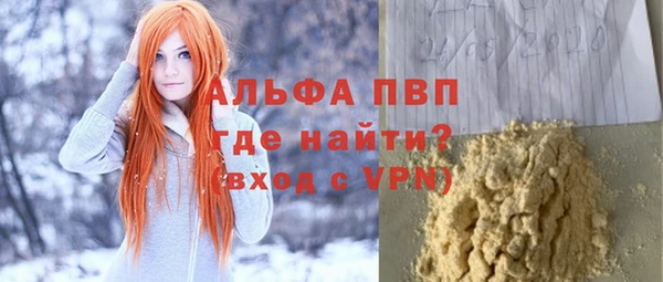 шишки Аша